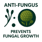 Regenerate the fungus image, adding only 1 or 2 elements. (1)